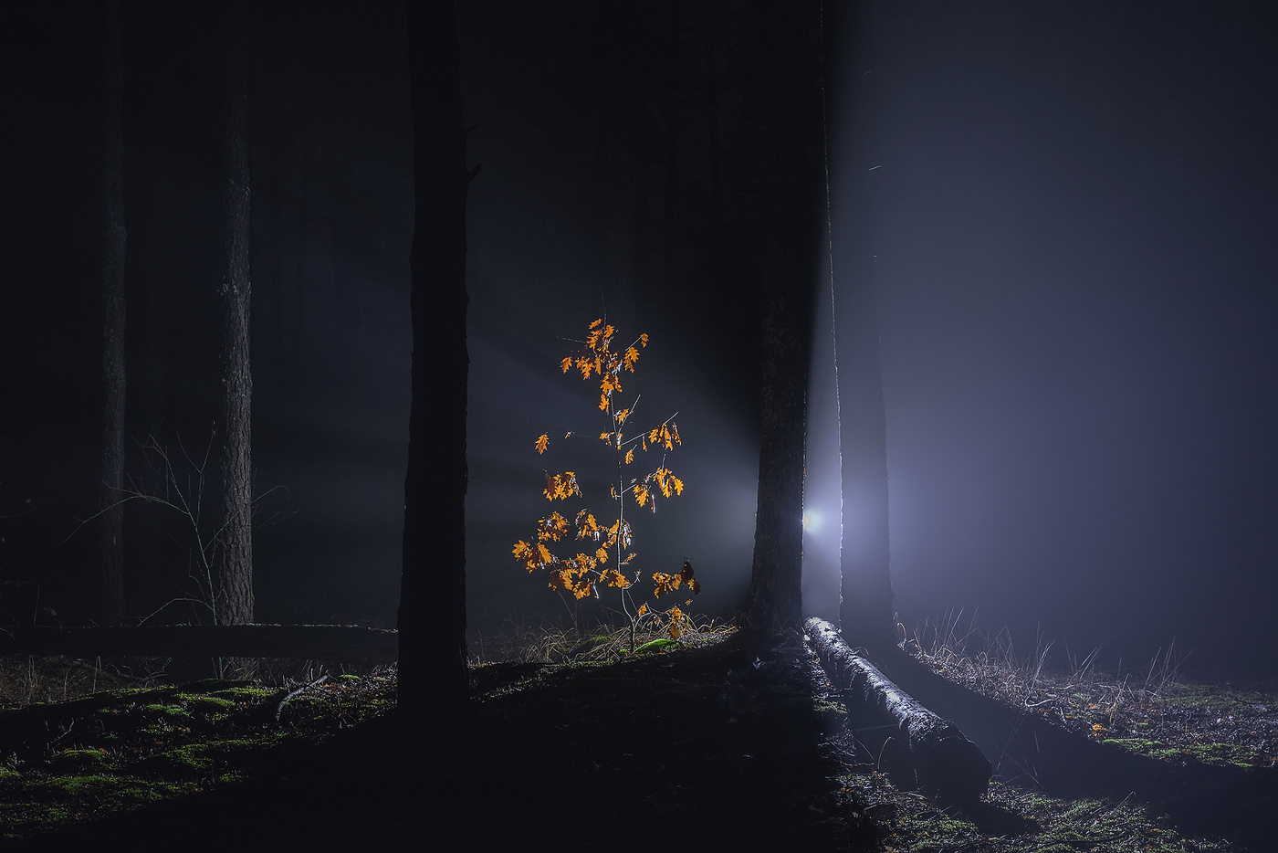 Один в темноте