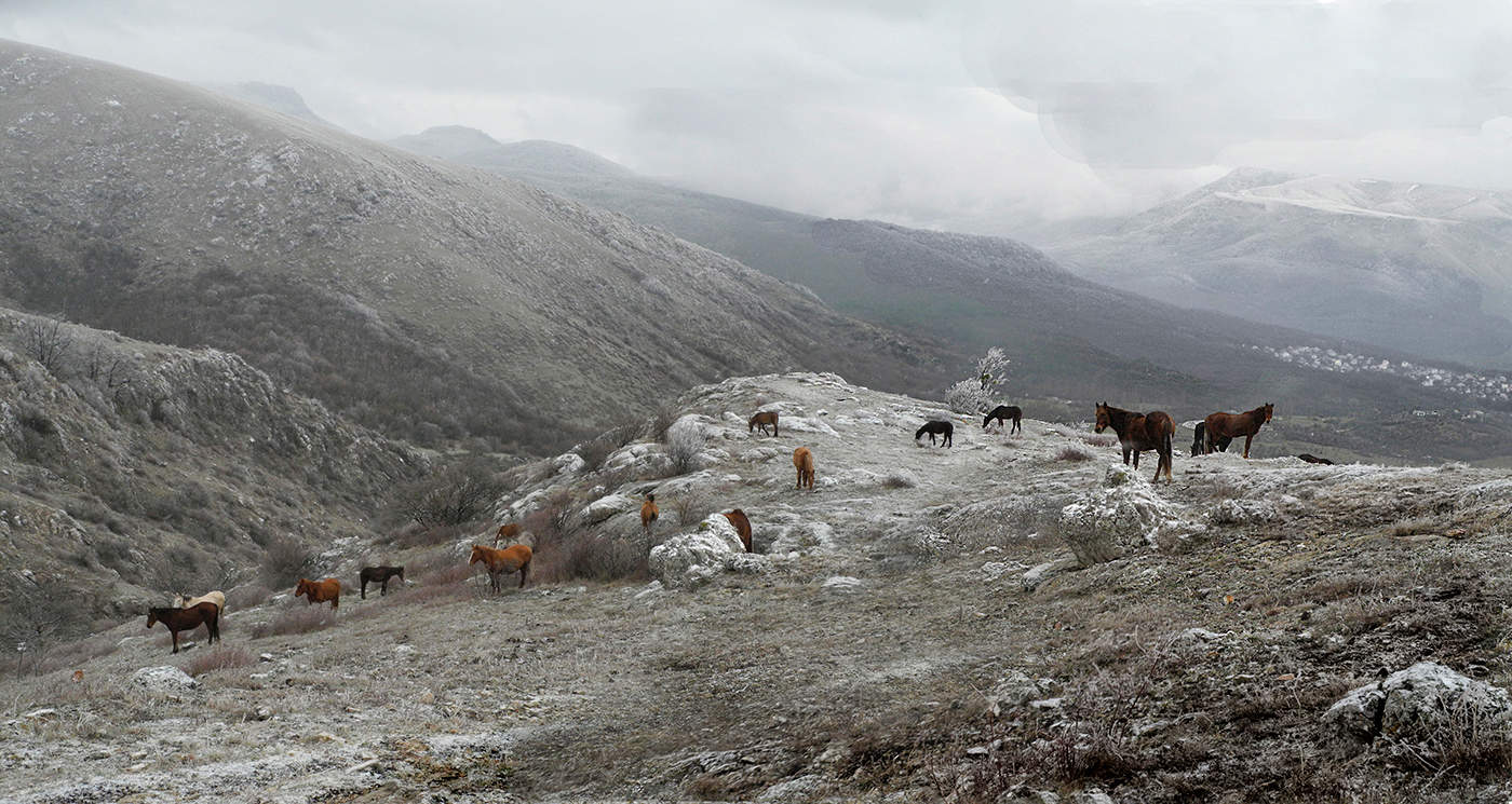 По горам и долам