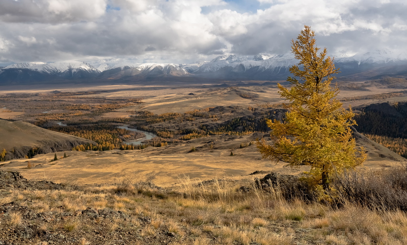 В Курайской степи.