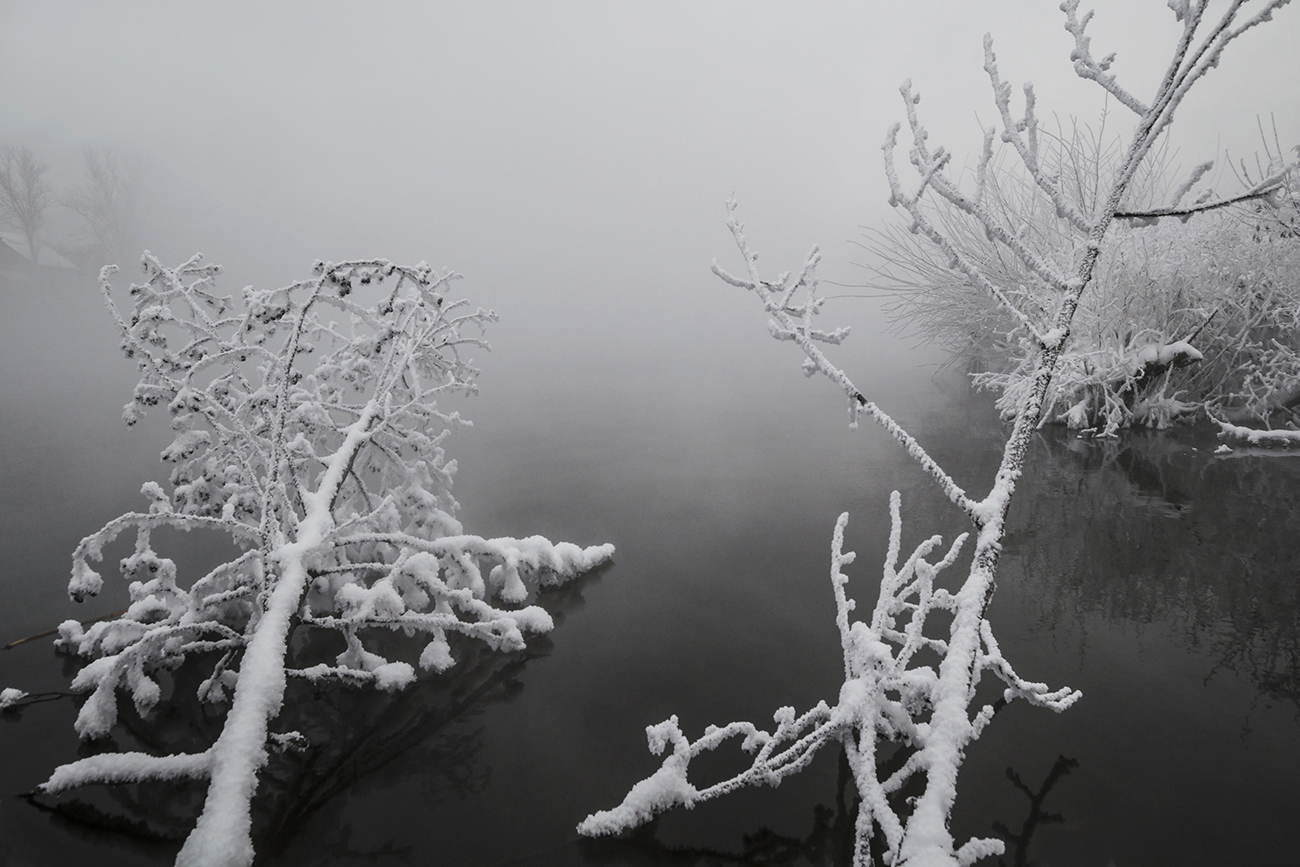 В белых одеждах января