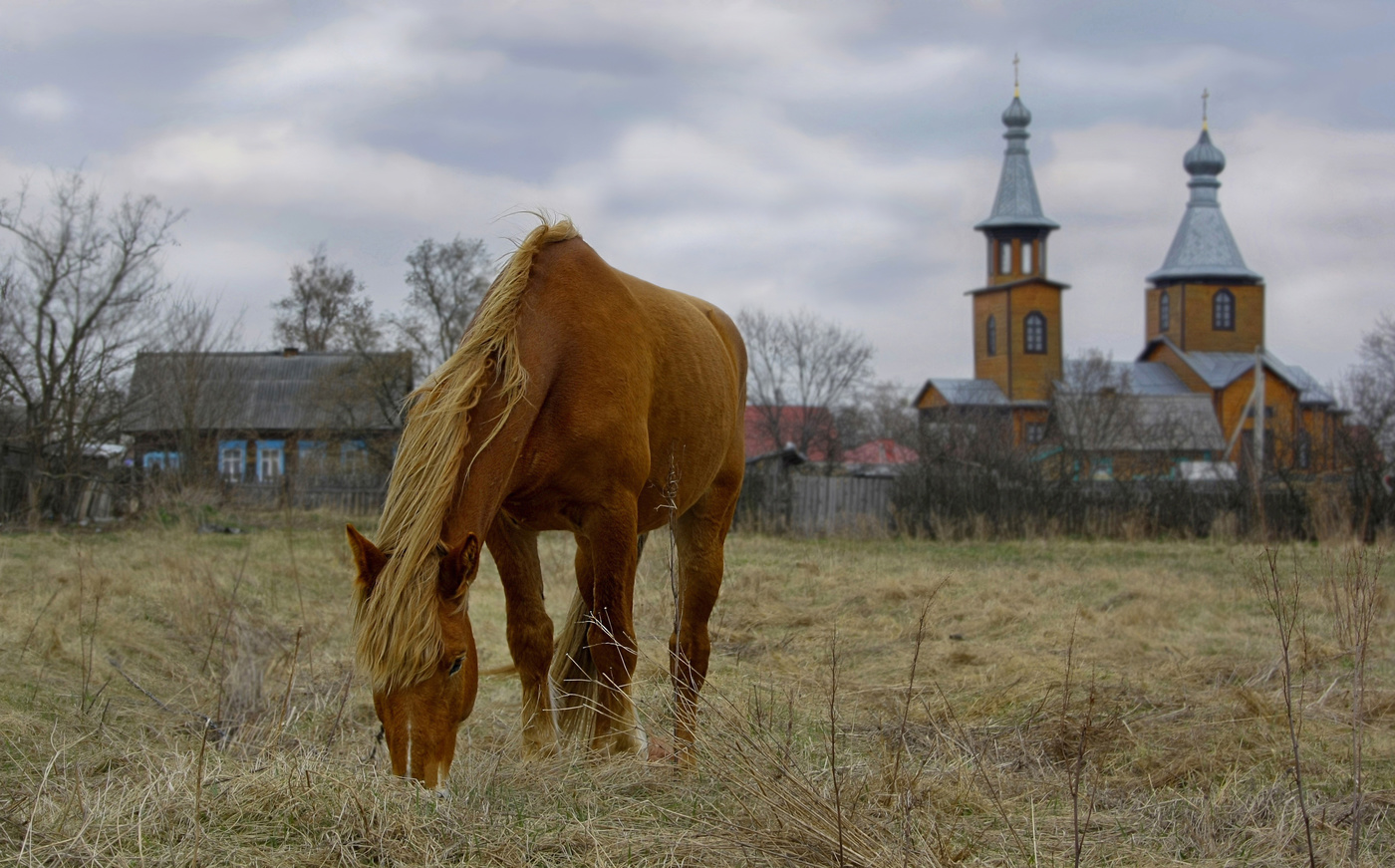Сельские картинки.