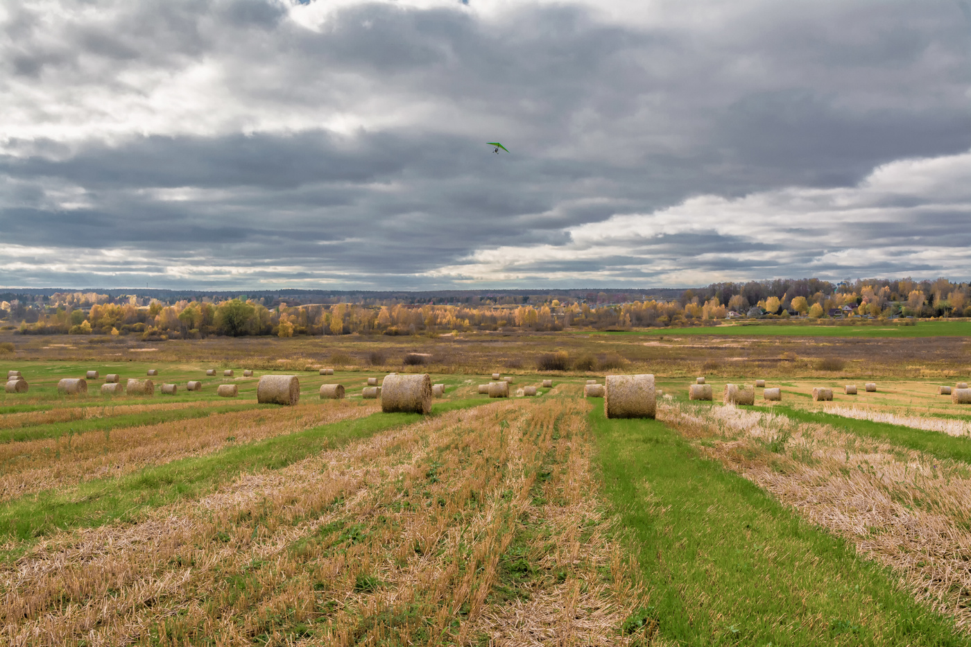 осенние перелеты