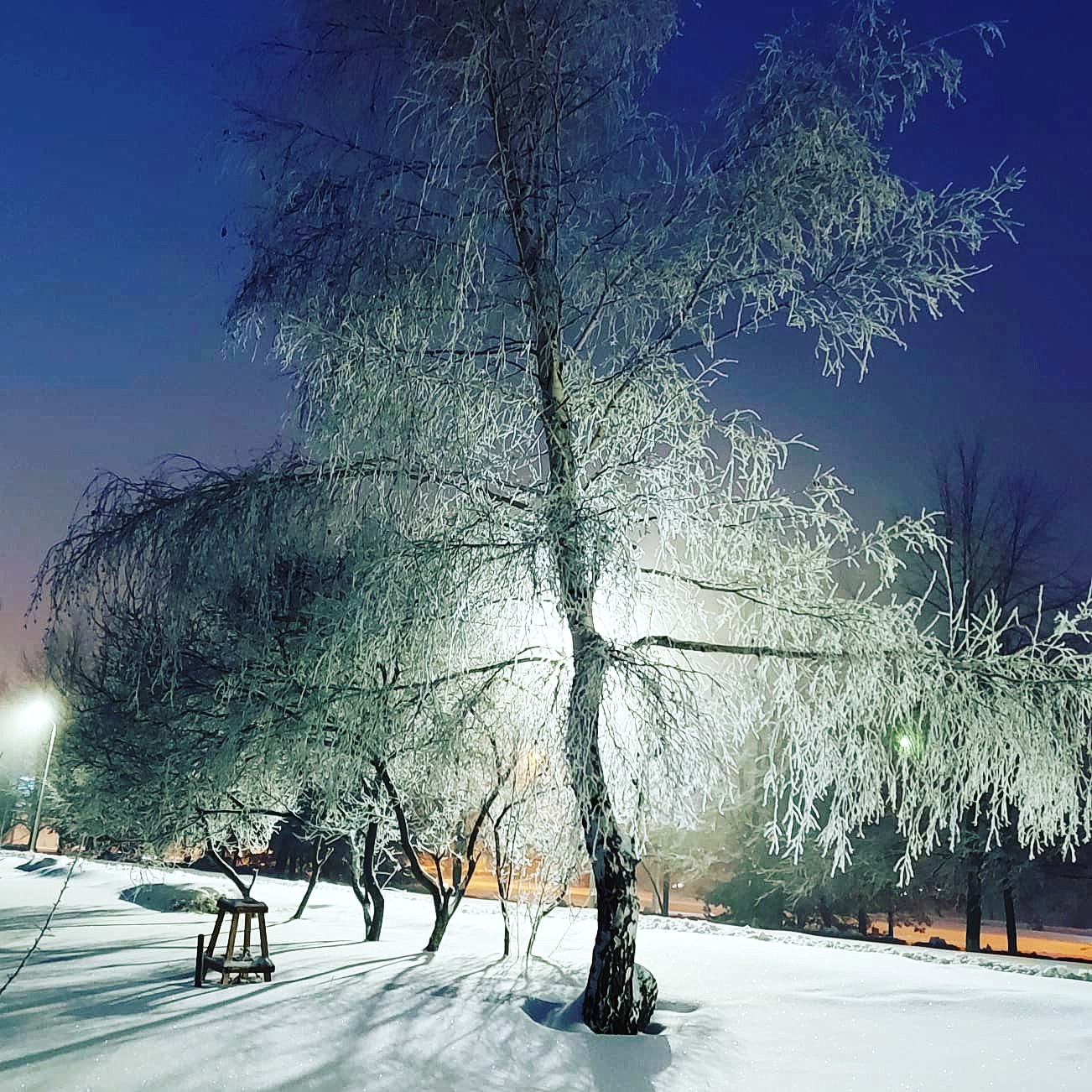 Зимнее творение