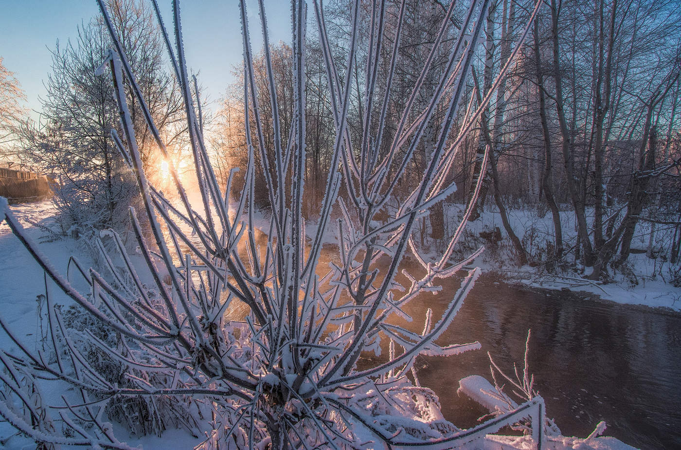 Золотой рассвет