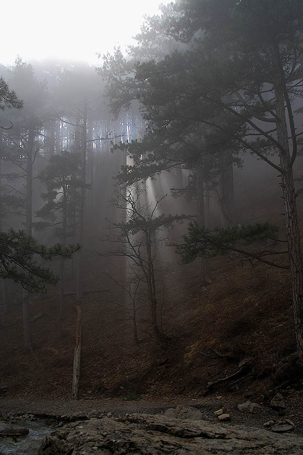 В ущелье реки Водопадная