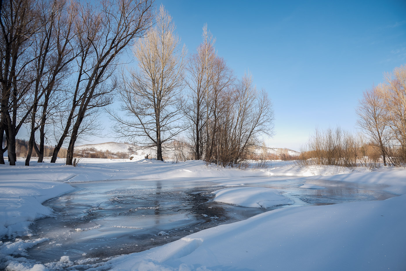 Теплый день