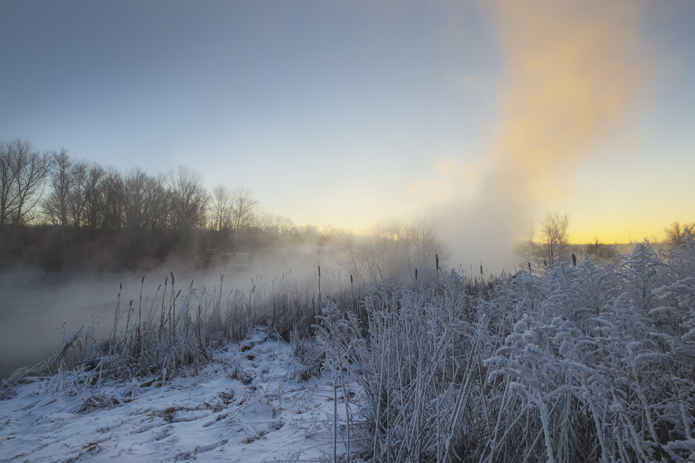 Туман устремился к солнцу