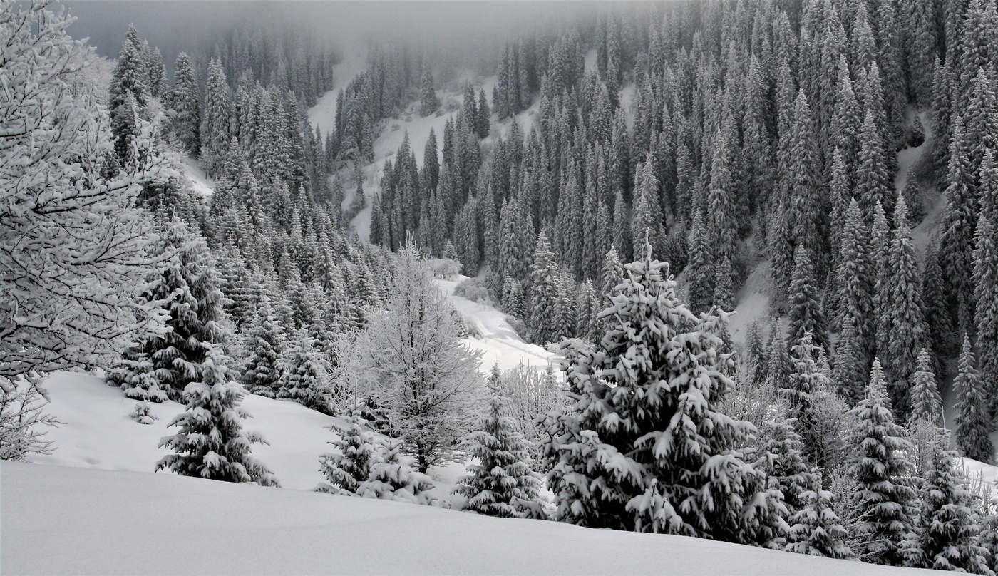 В горах Алматы