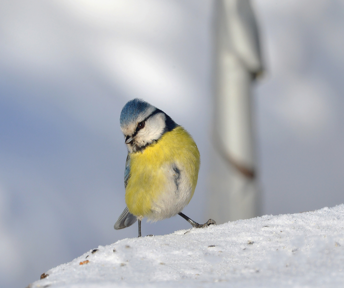 Улыбочку...снято.