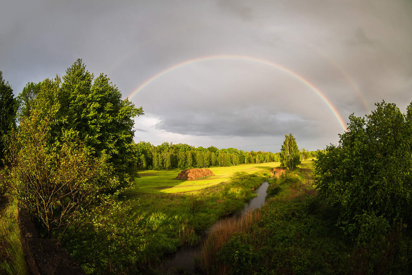 Среди полей