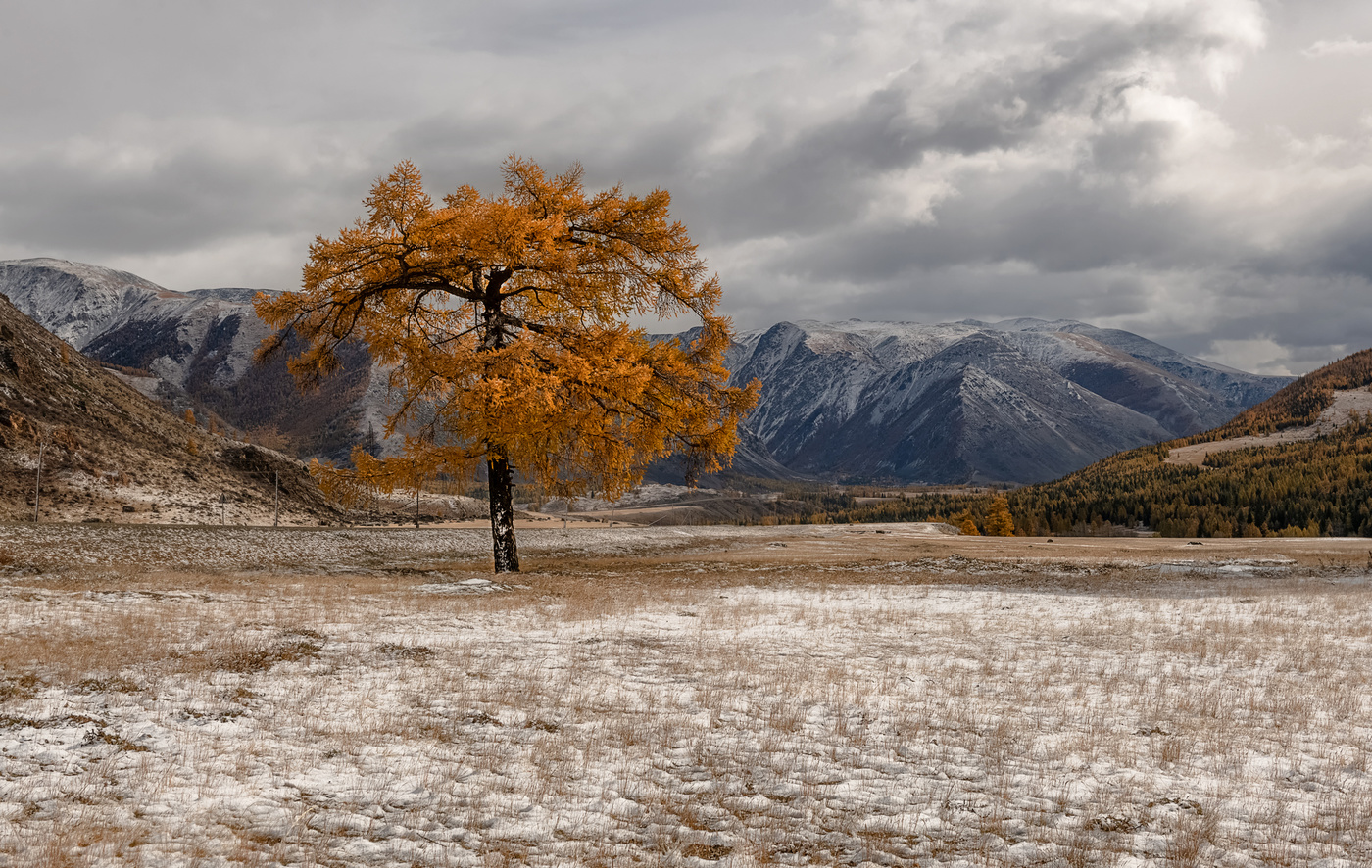 Осенний первый снег.