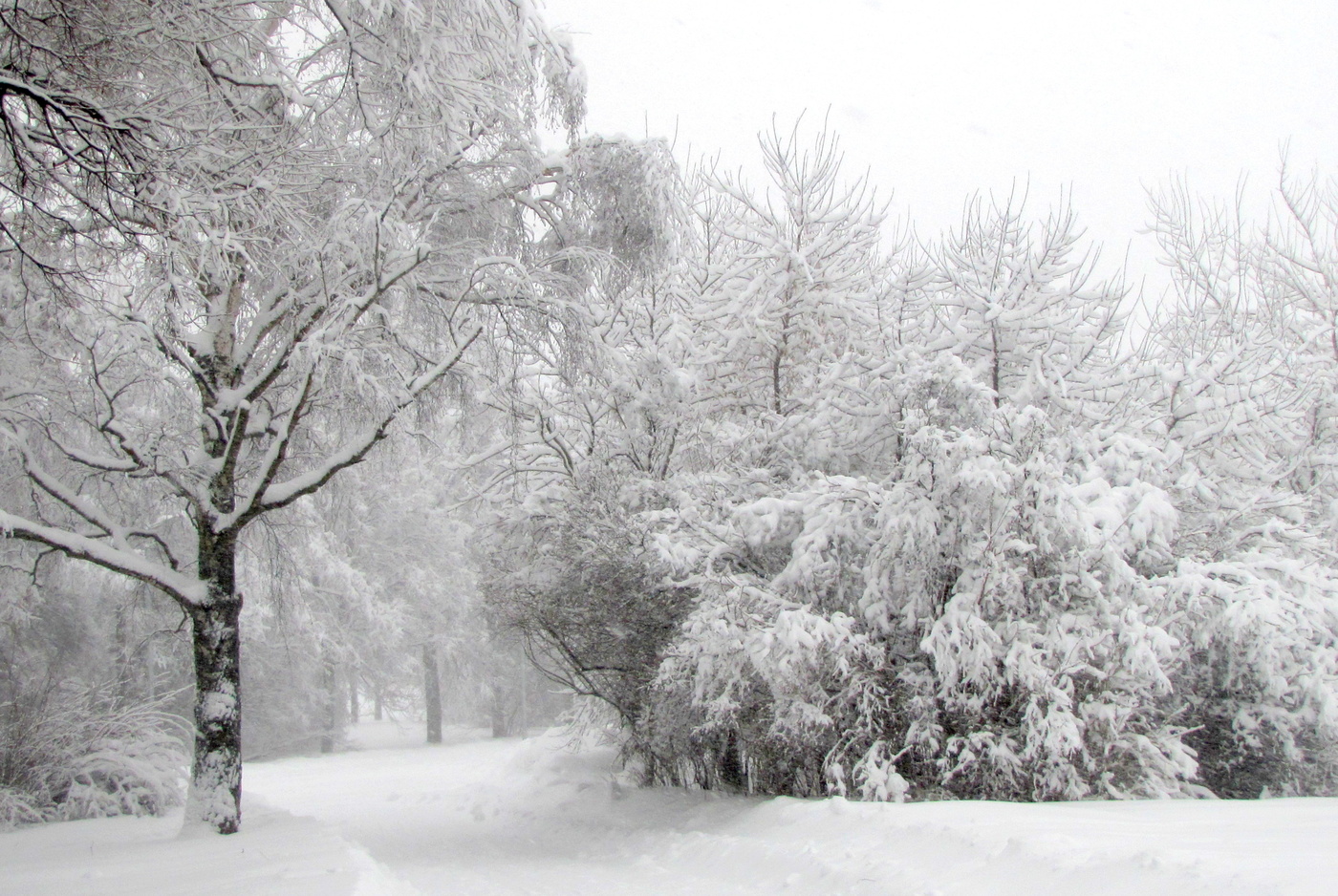 Зимний пейзаж.
