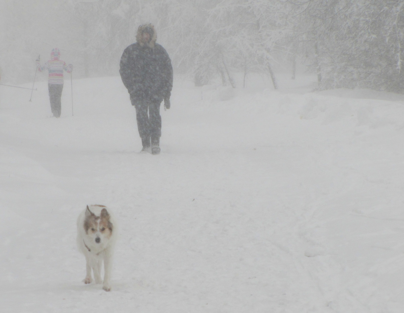 На прогулку в любую погоду.