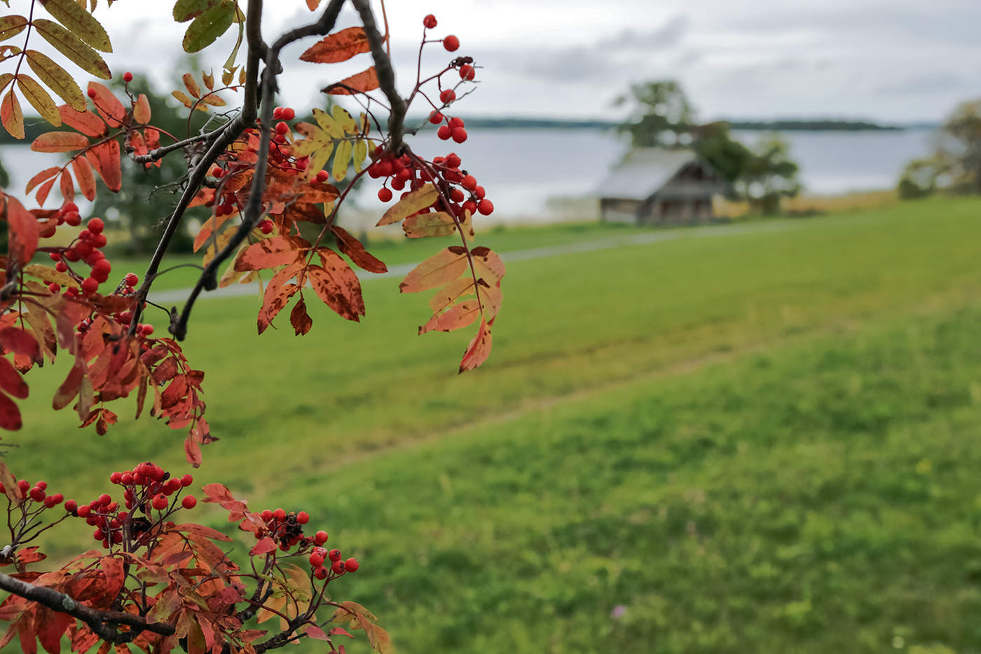 Вот и осень