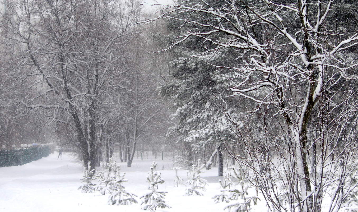 Зимний день.