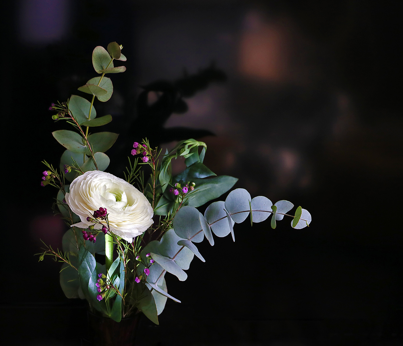 Ранункулюс со свитой