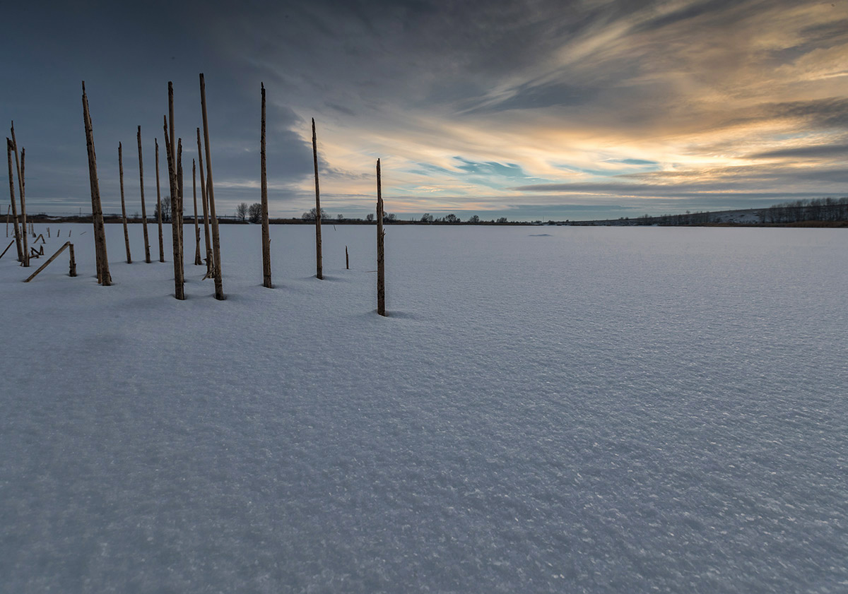 Замерзший пруд