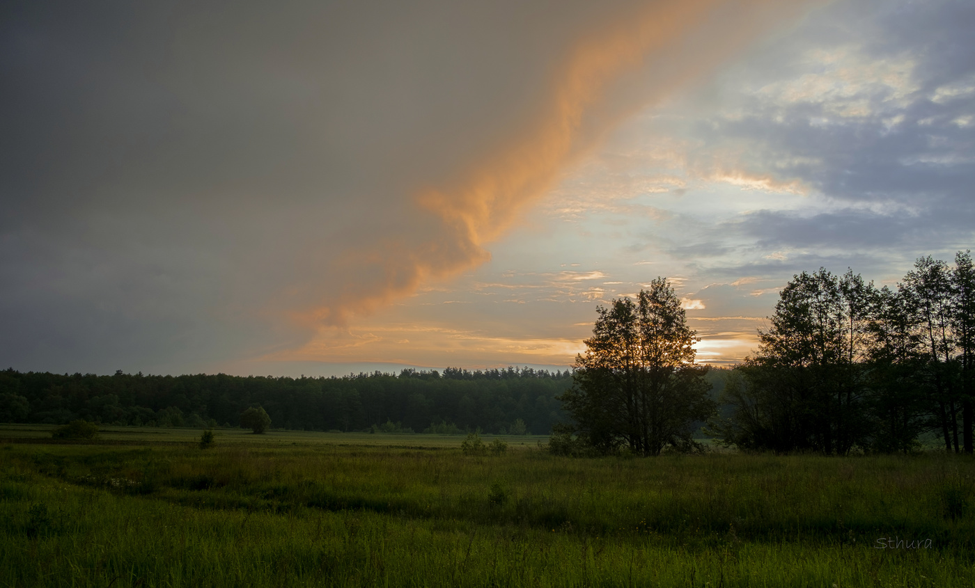 Тучи на рассвете.