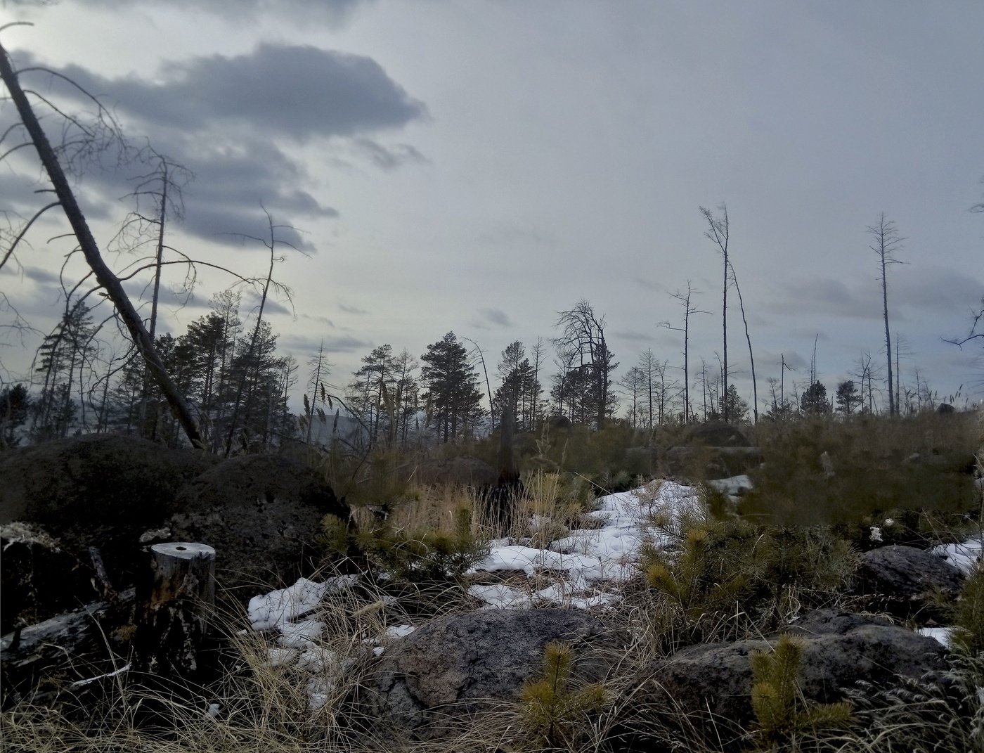 Хмурый март