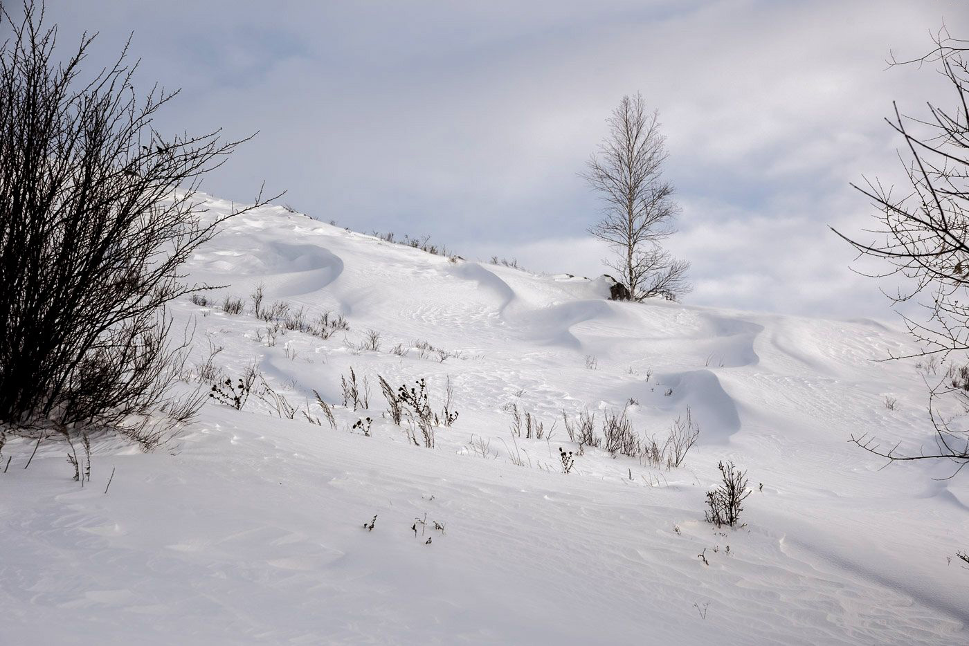 Снежные волны