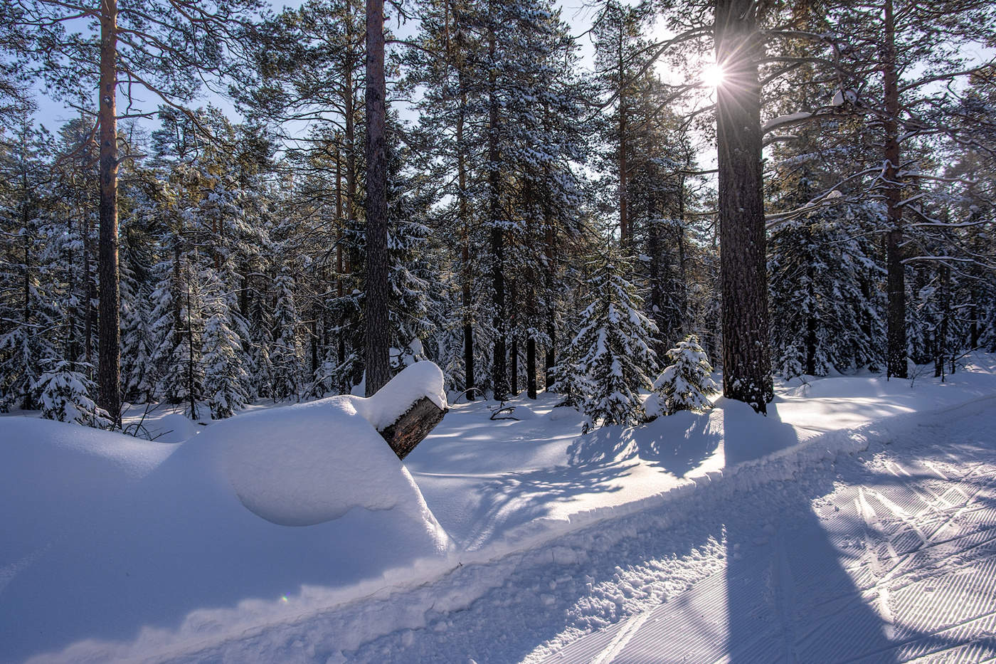 Зимний день