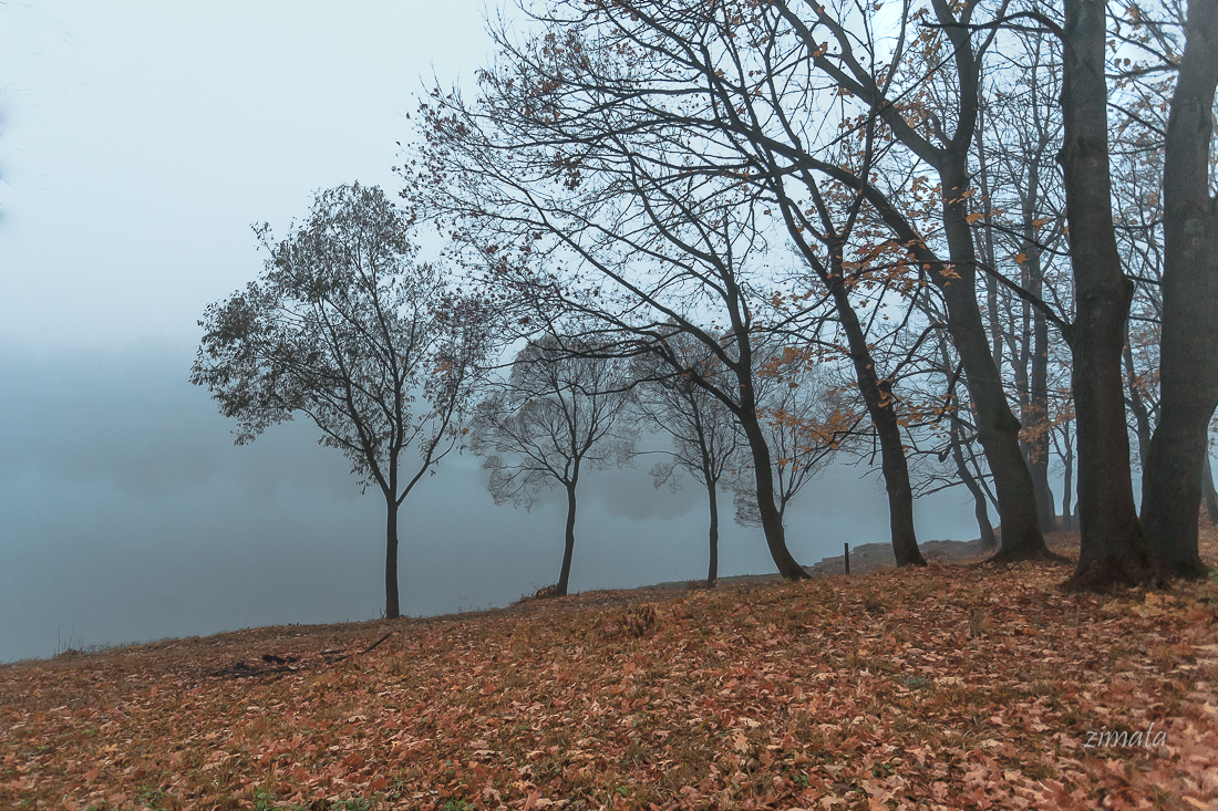 Тонкая грань