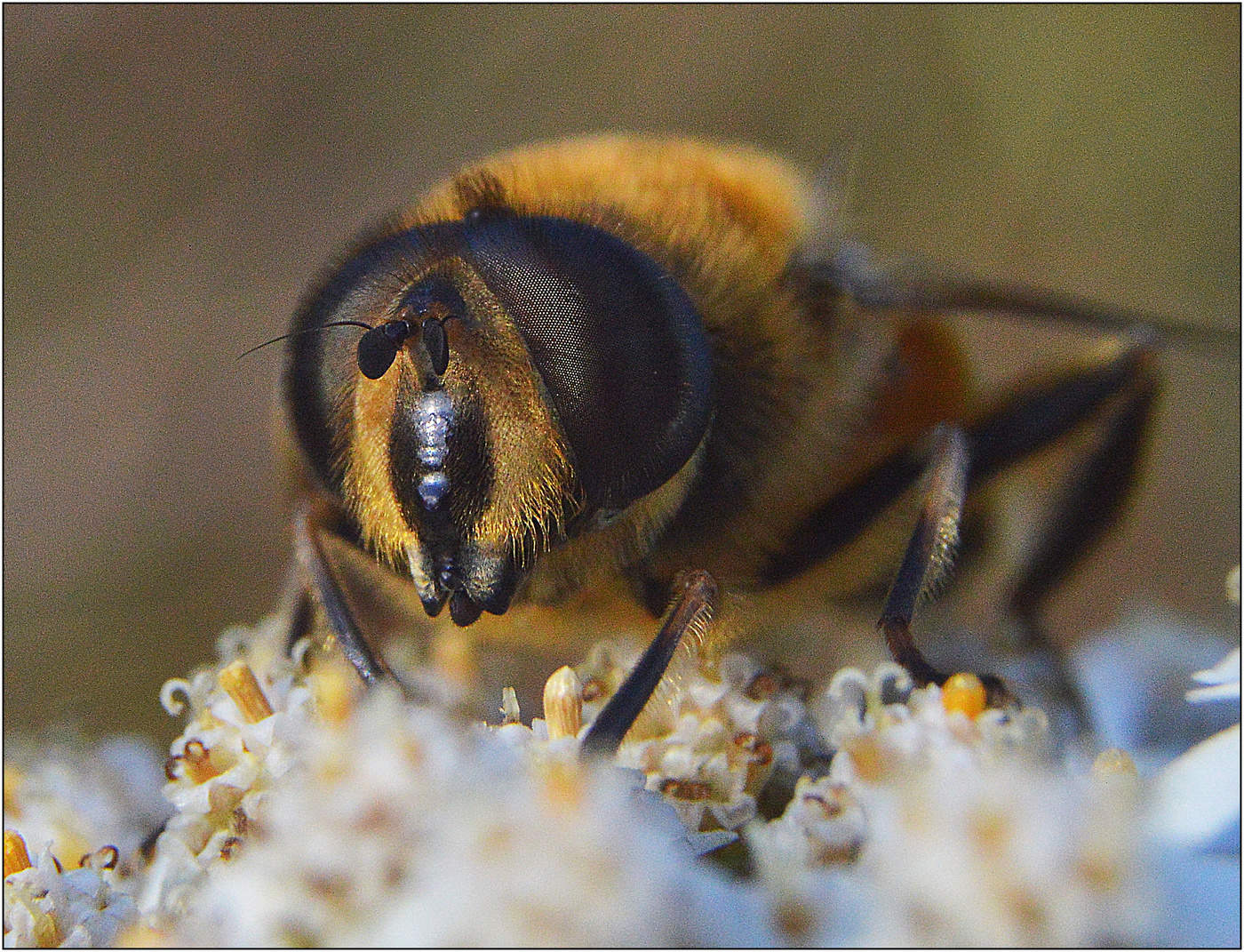 Зарисовки осени.