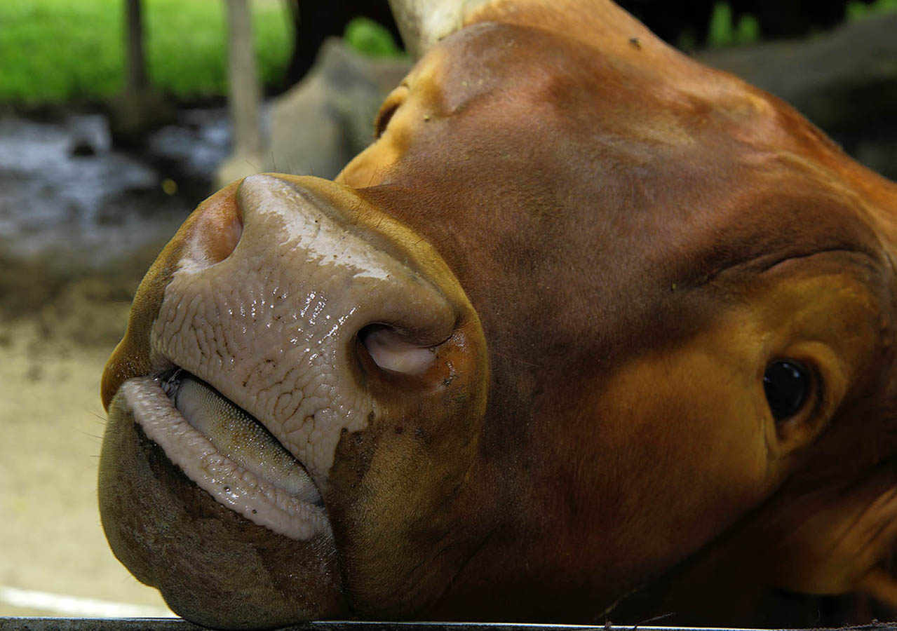 Не ждали?? А я пришел...