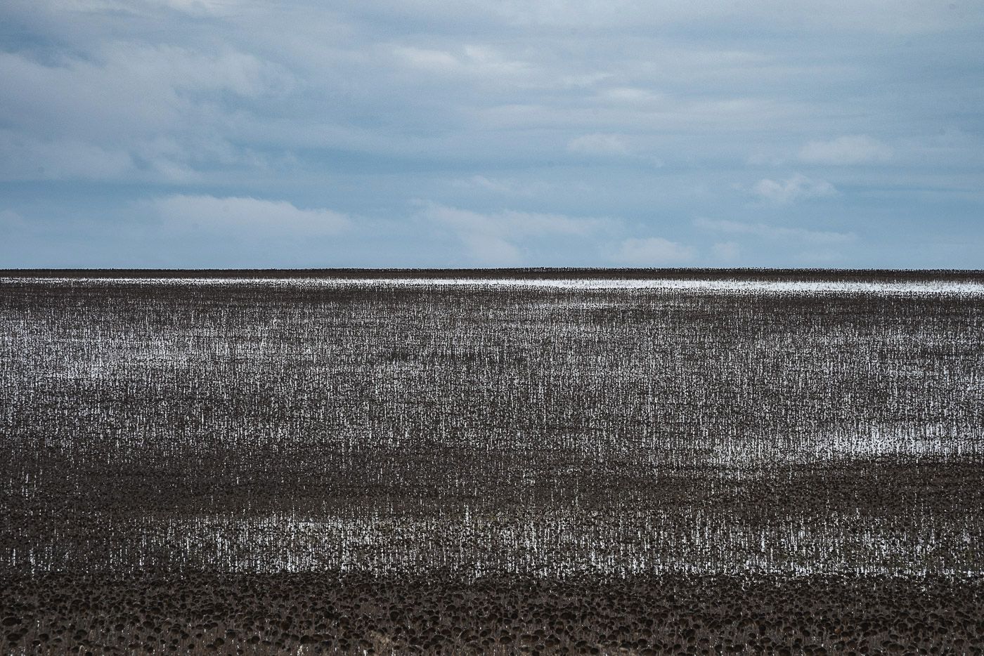 Тонкая грань