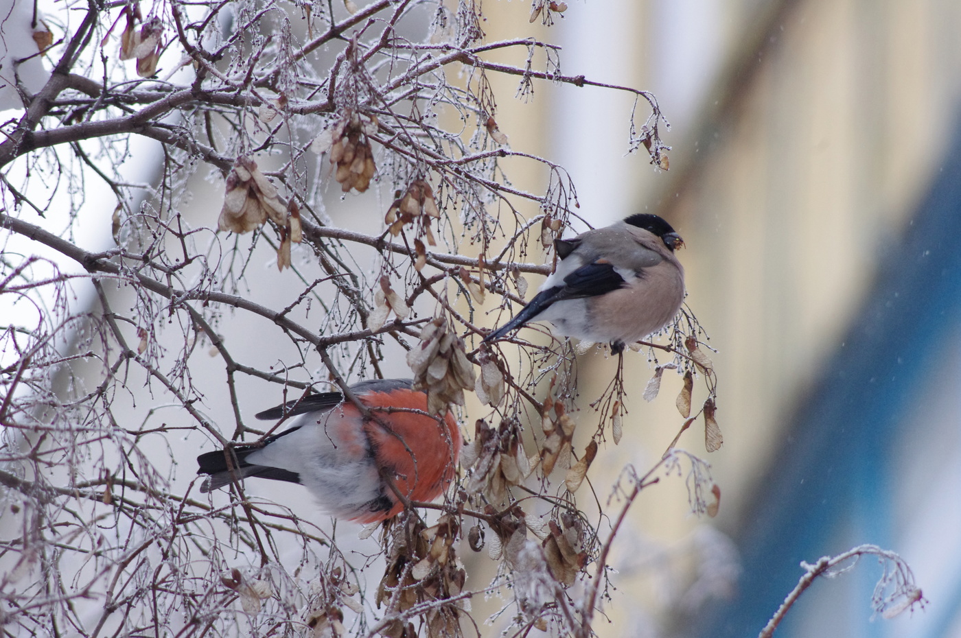 Тонкая грань