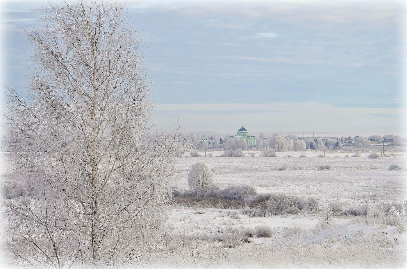 Снежная нежность...