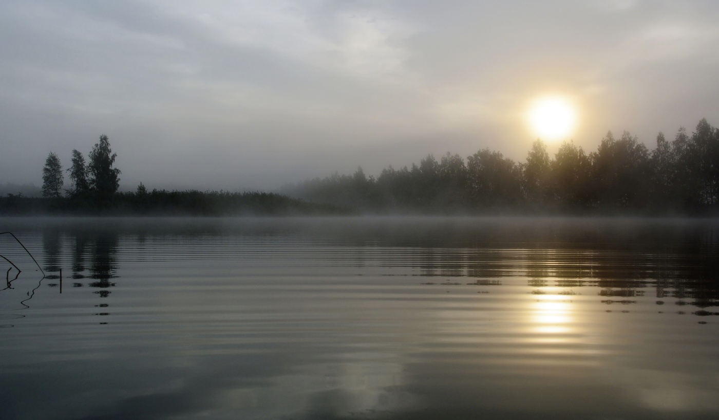 Тонкая грань