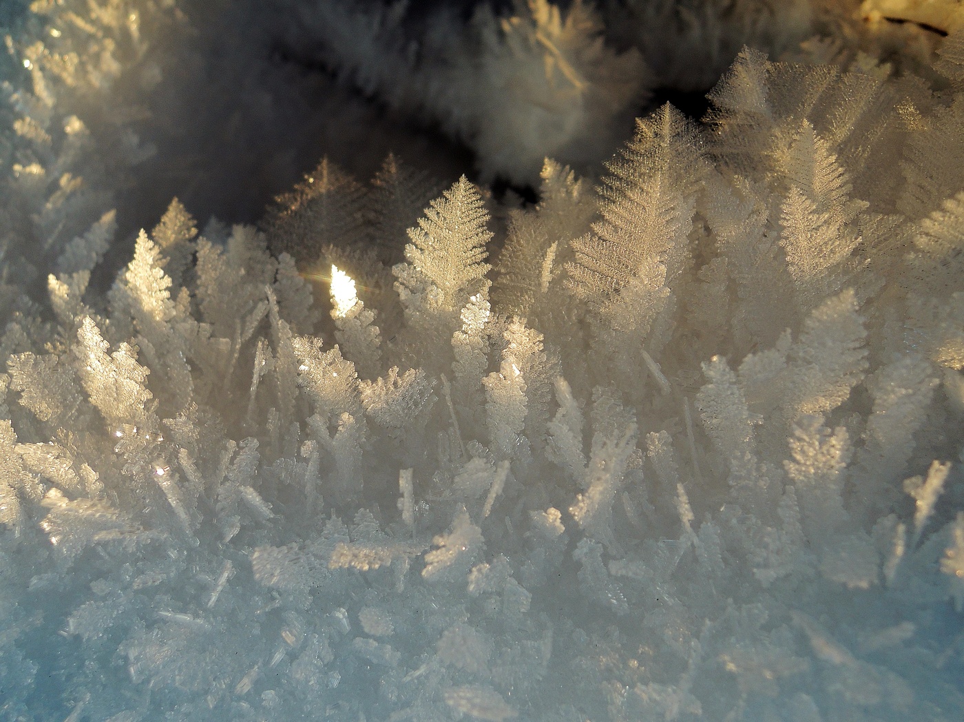 Тонкая грань