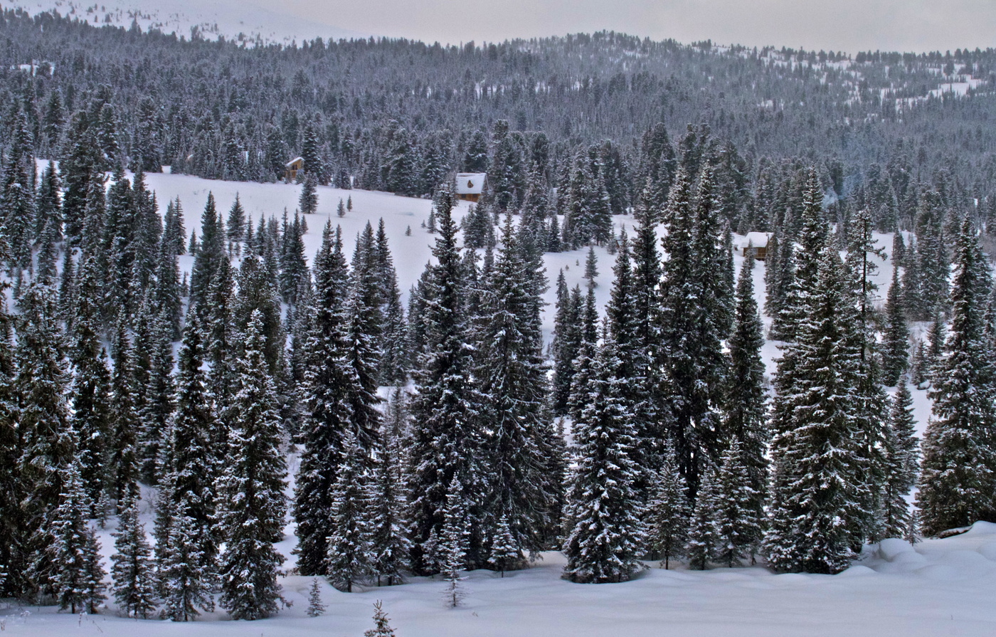 «Избушка там на курьих ножках...»