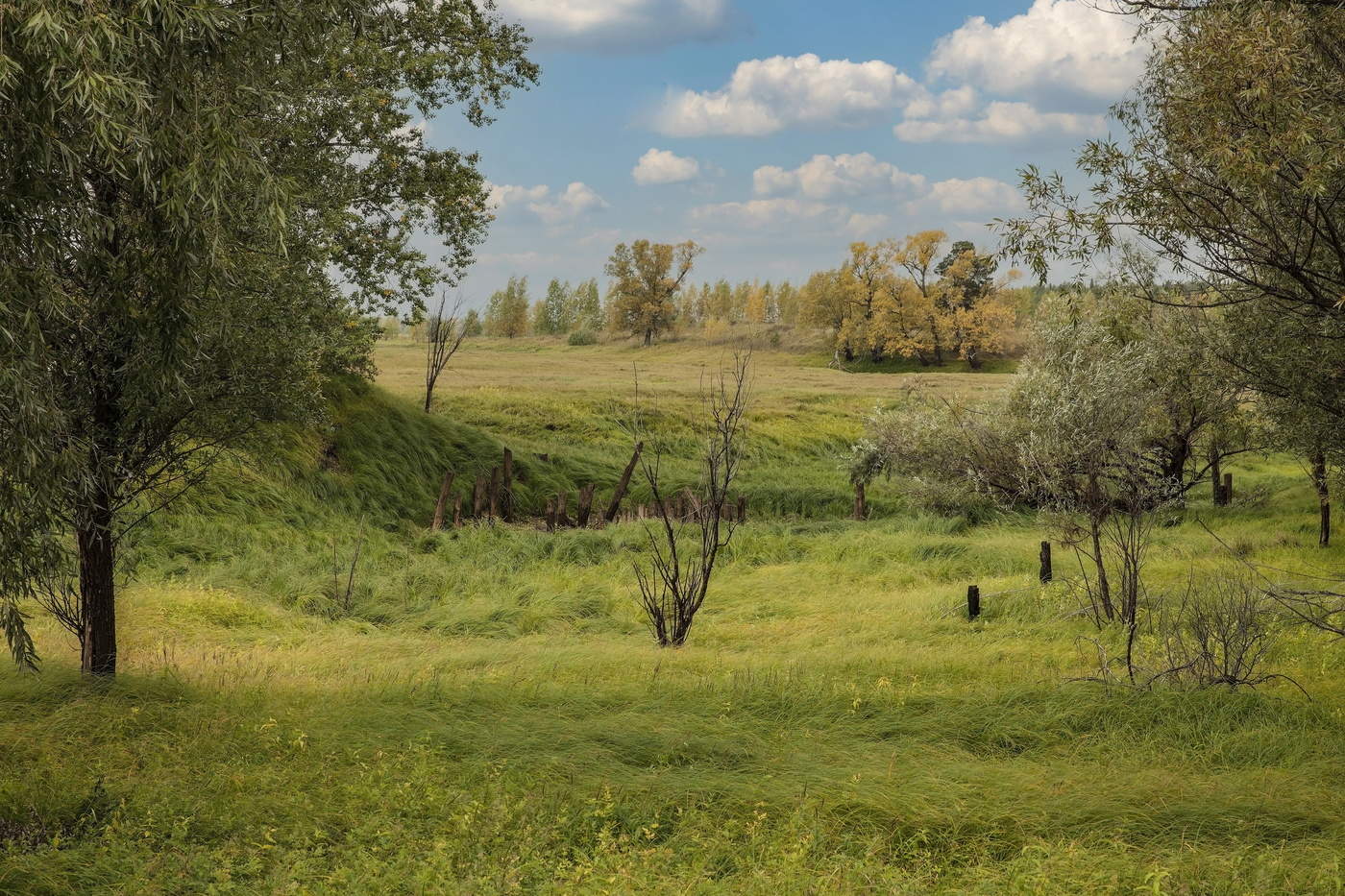 Вспоминая осень