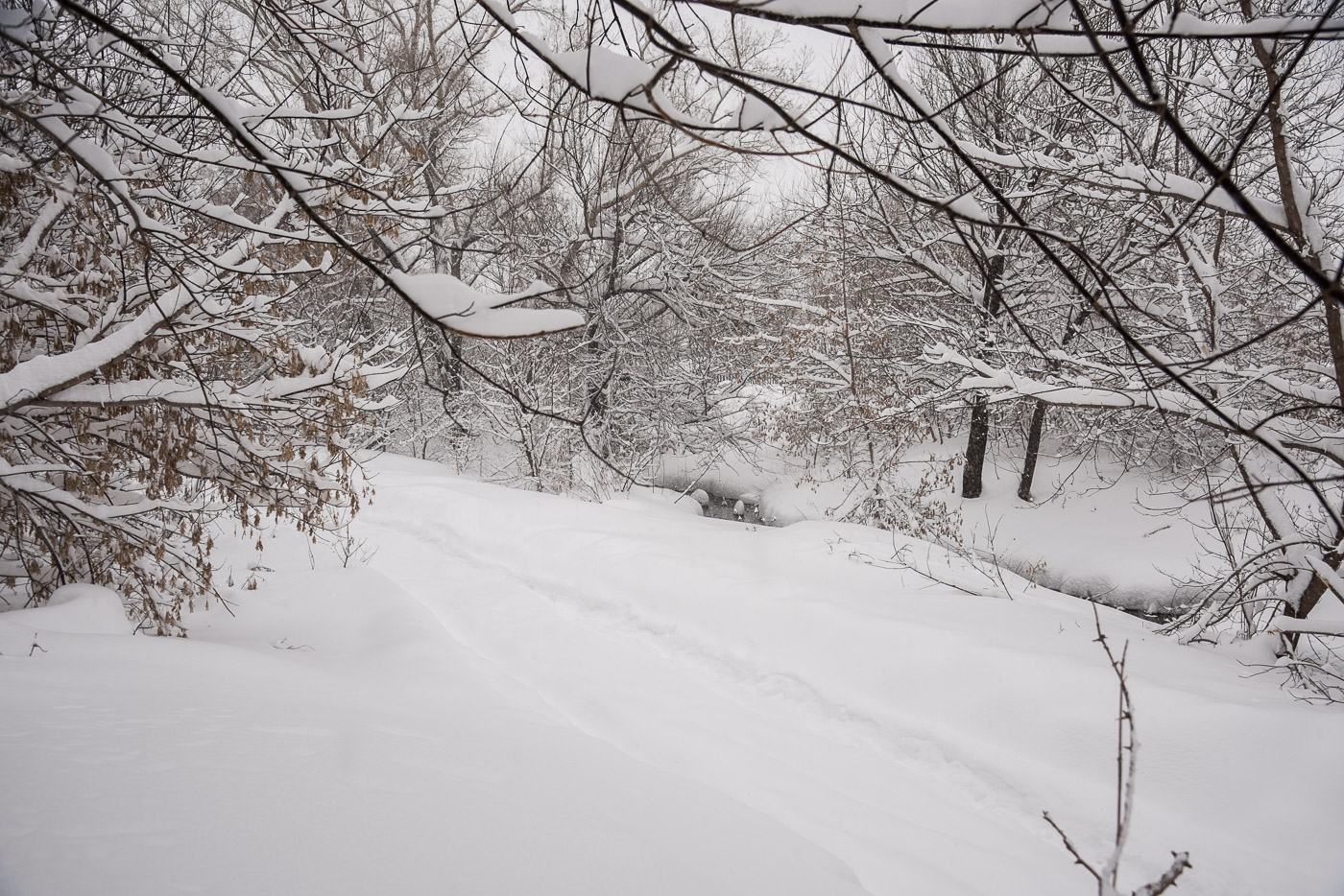 Белое покрывало