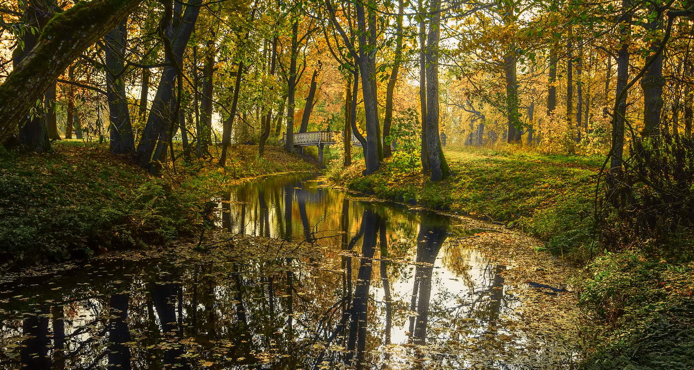 Краски осени