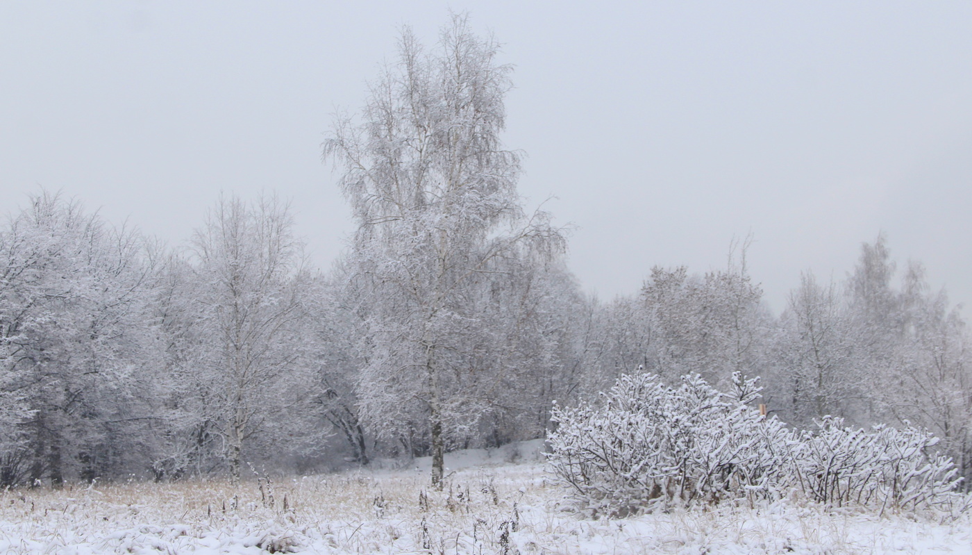 Зимний пейзаж.