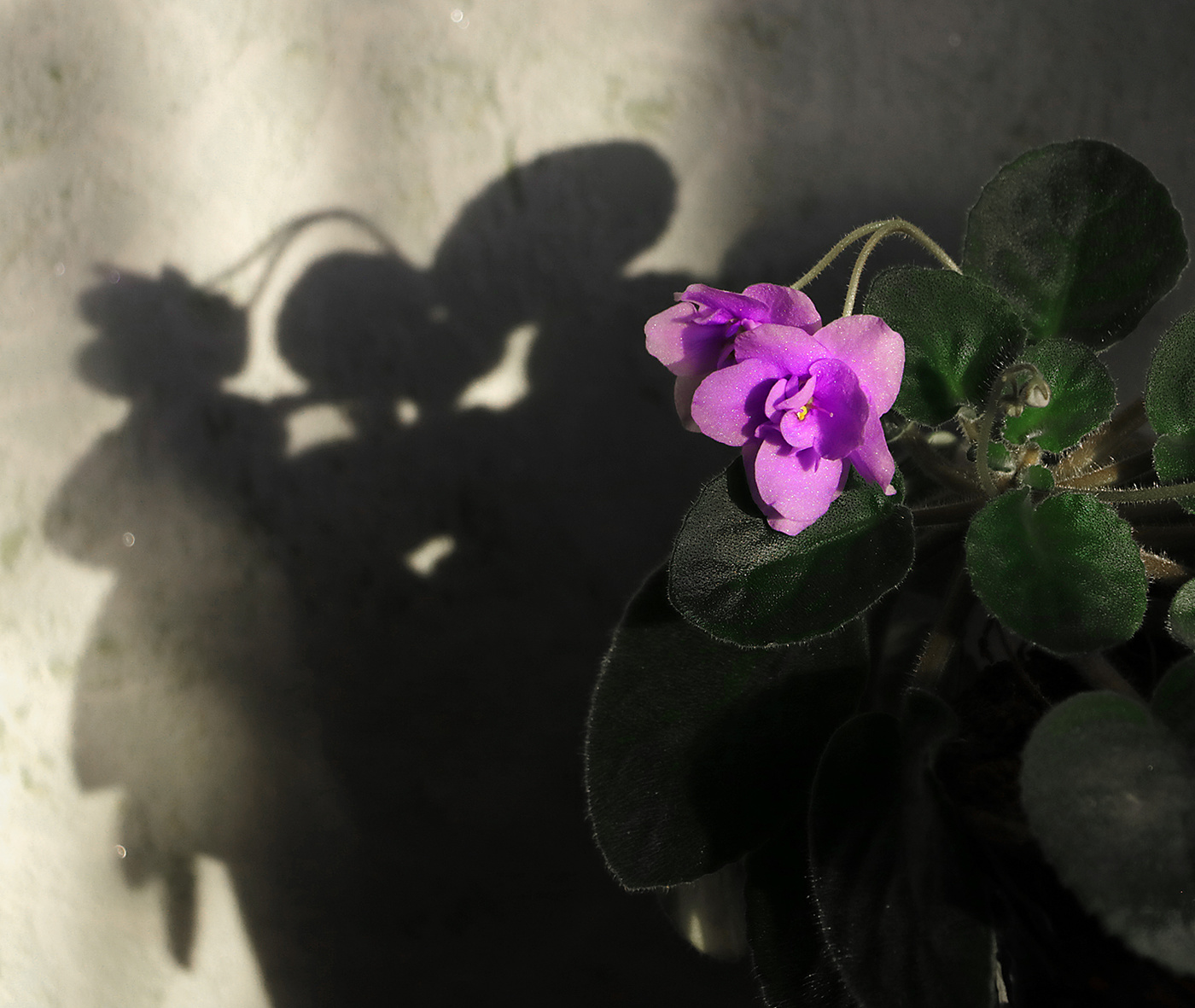 Свет и тени 3