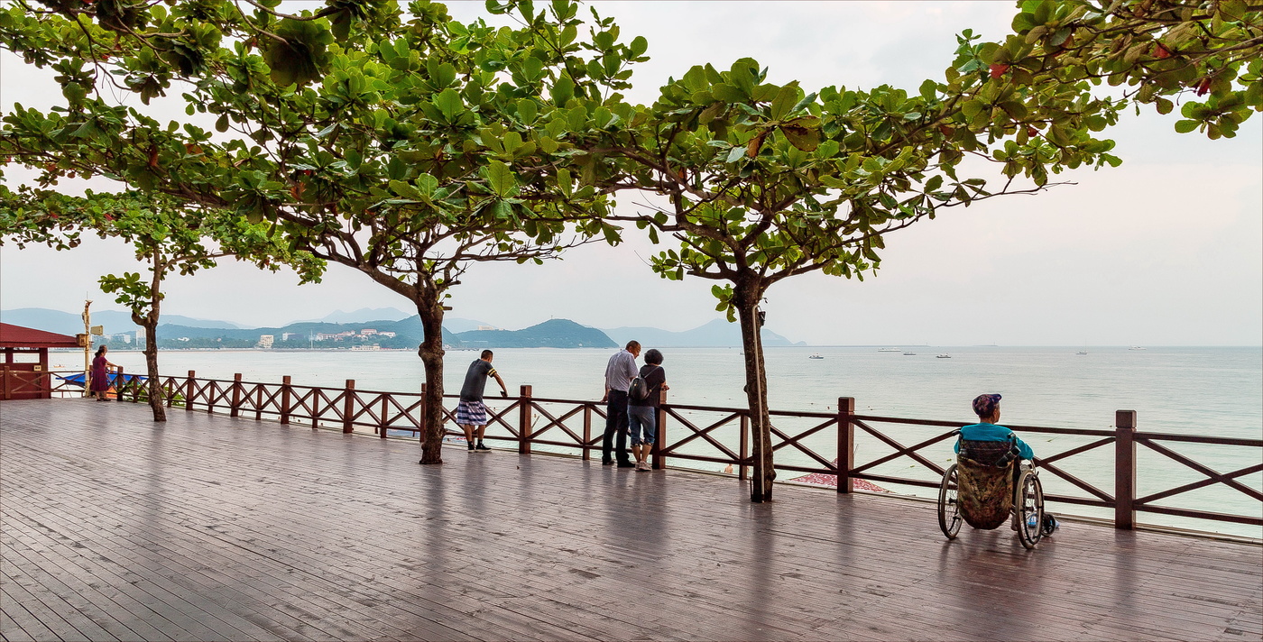 С надеждой, средь деревьев крон...