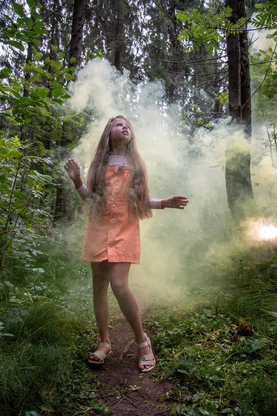 Встреча в лесу