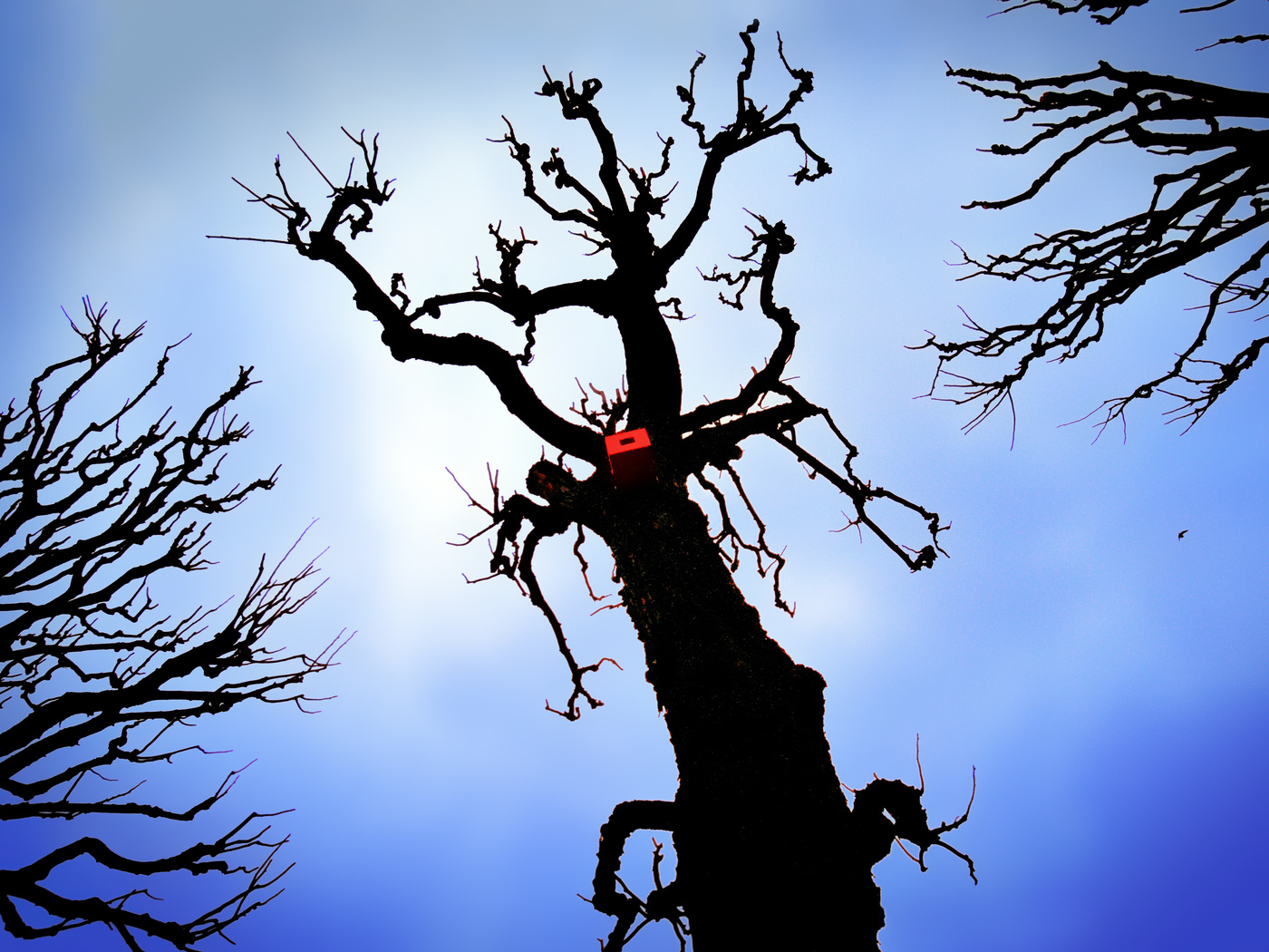 скворечник красного цвета