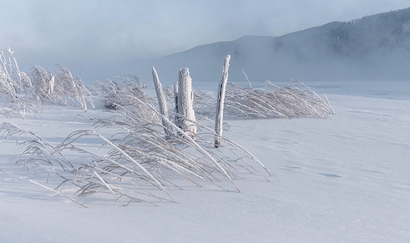 Зимняя нежность.
