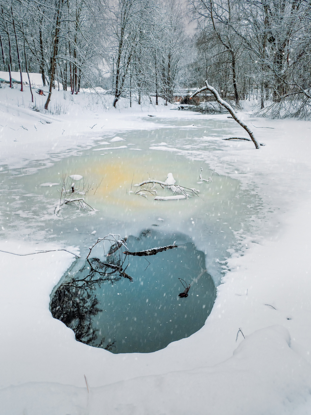 Сюжеты нынешней зимы.