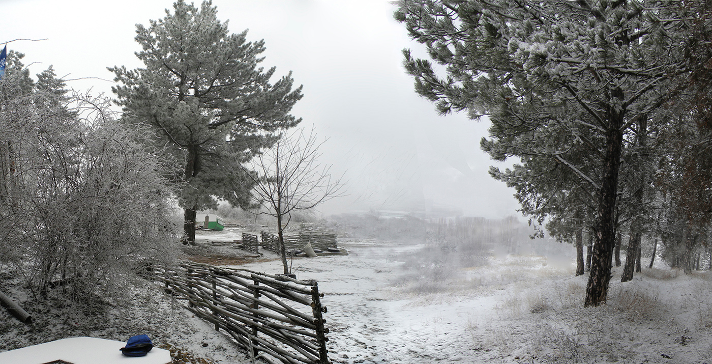 На краю леса.