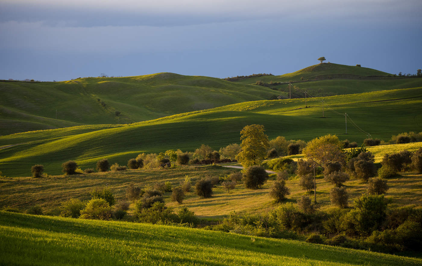 Вечерний свет