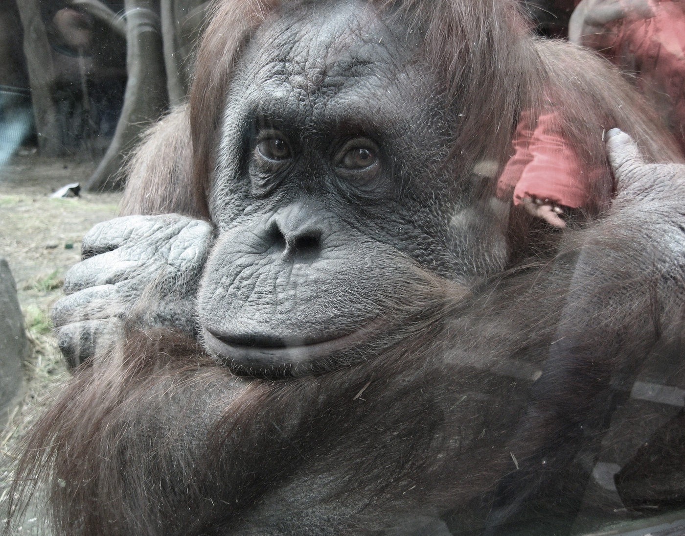 Мне грустно…