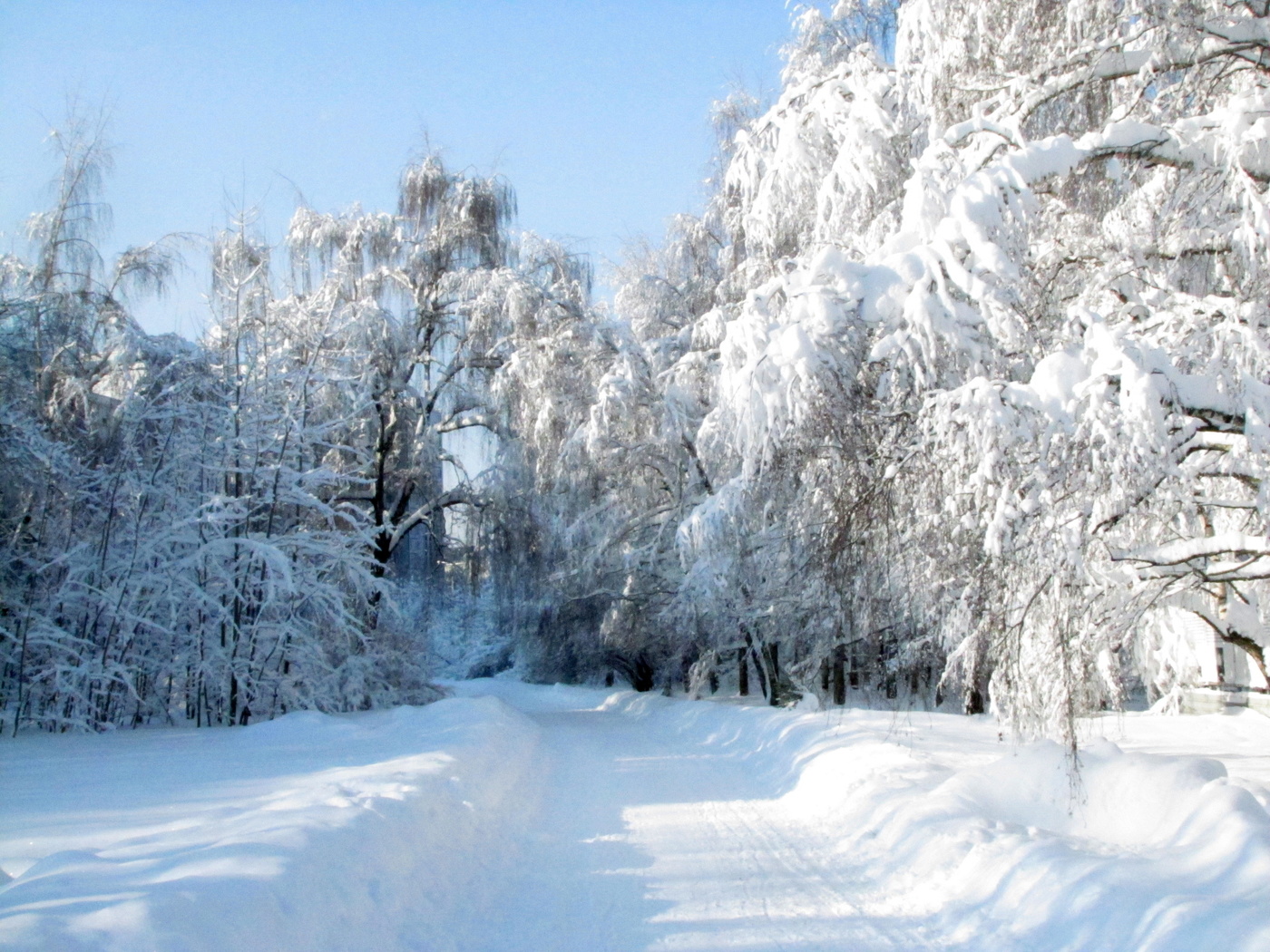 Солнечный день.