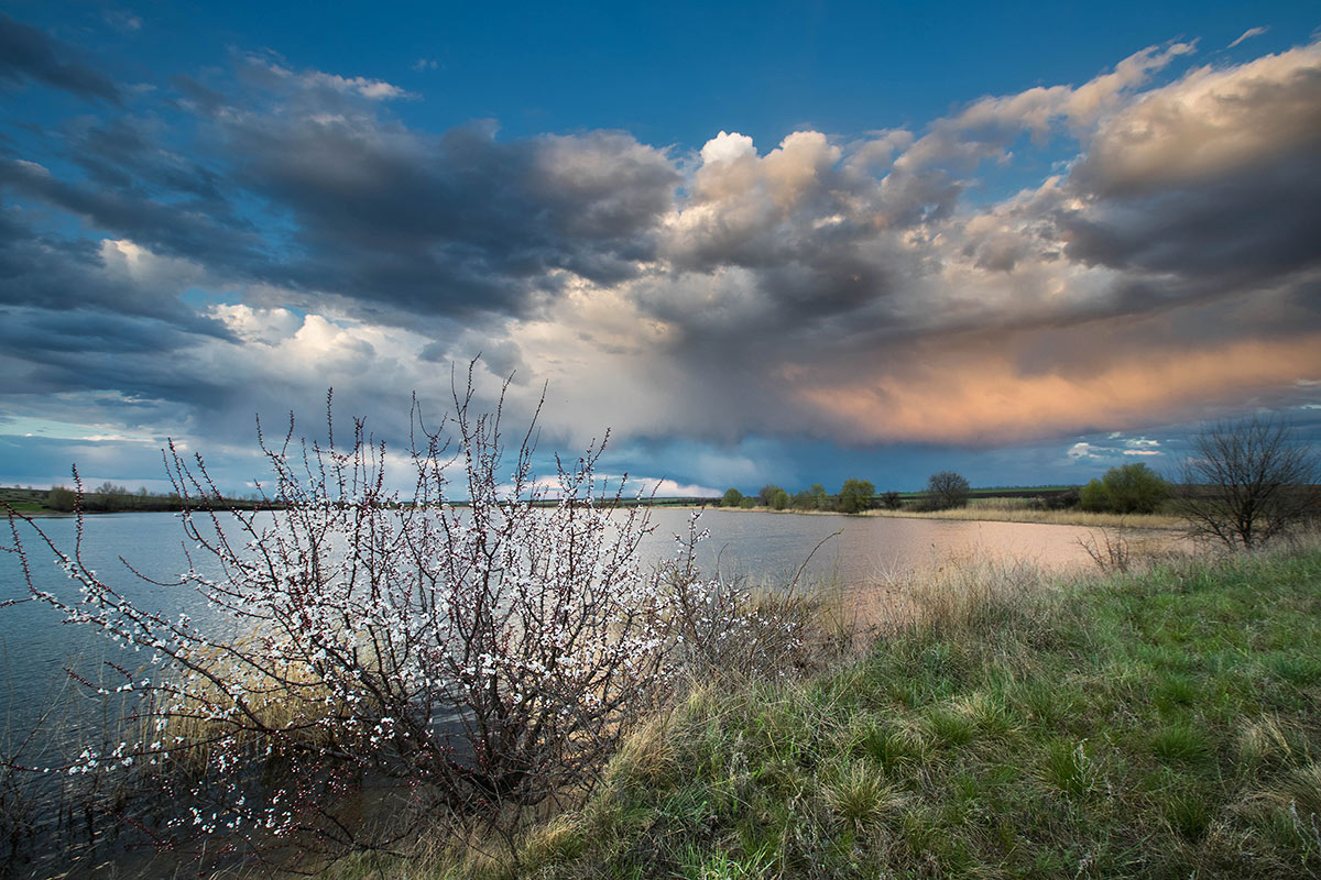 Краски апреля