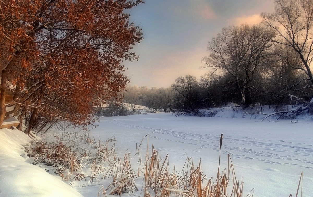 Зимним морозным днём